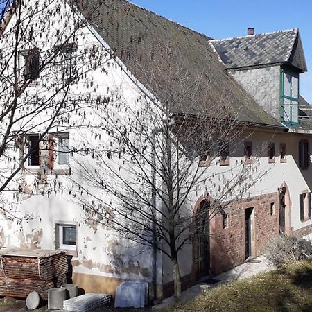 Nordiques De La Welche Villa Orbey Exterior foto