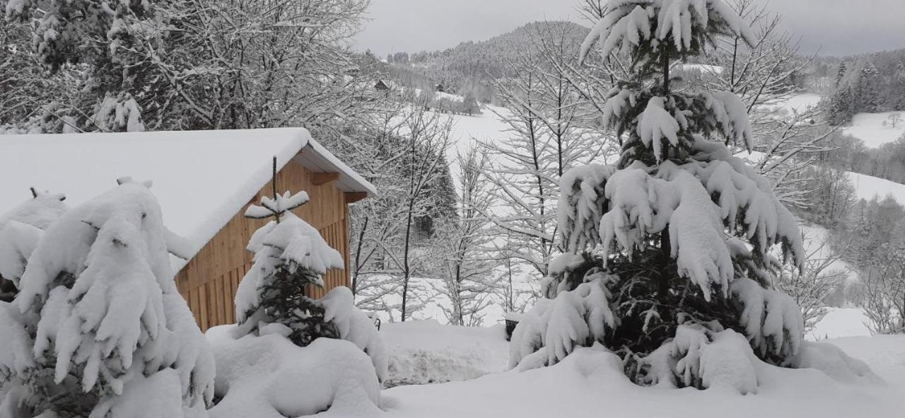 Nordiques De La Welche Villa Orbey Exterior foto